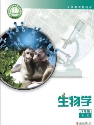 �ս̰���꼶�����²�(2026����)